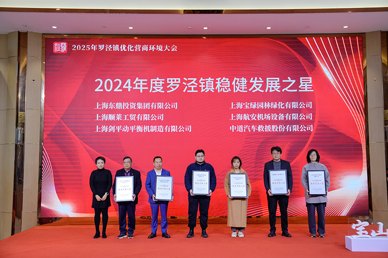 上海劍平獲穩健發展之星稱號